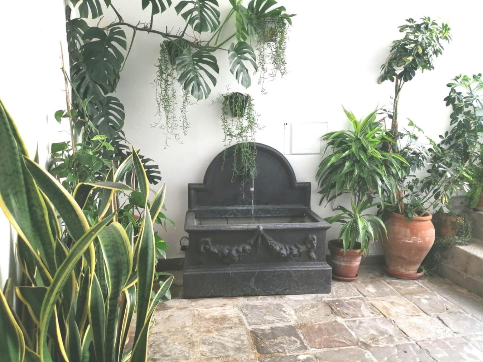 Apartamento Ave Maria 2 Tarifa